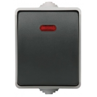 ВС20-1-1-ФСр Выключатель одноклавишный со свет. индикатором для открытой установки IP54